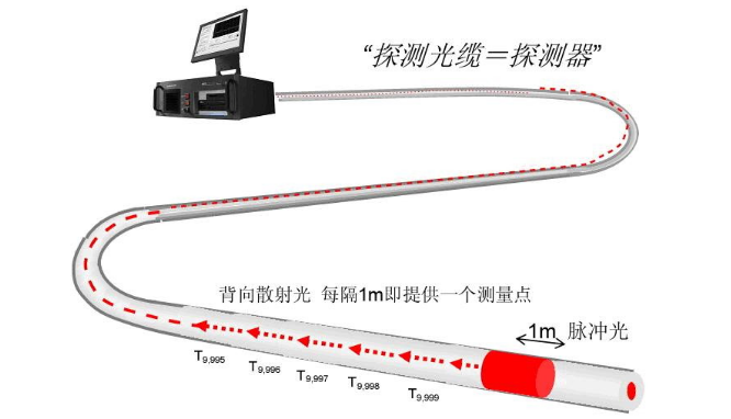 61975a264623c.png 61975a264623c.png