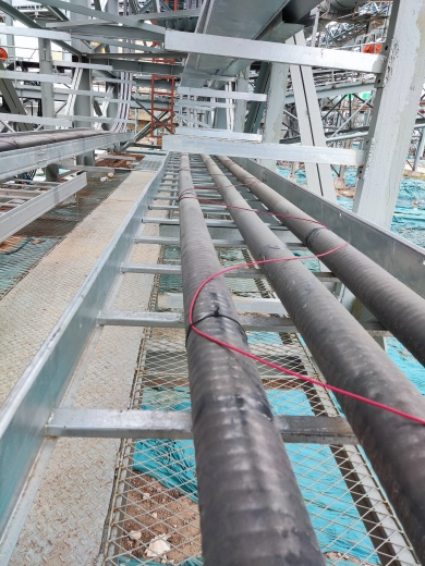 61975a26767f1.png 61975a26767f1.png